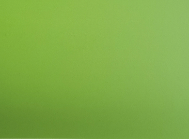 鸚鵡綠